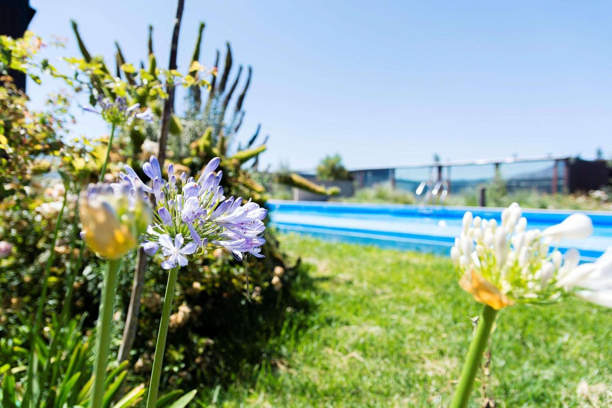 Park Inn By Radisson Los Olivos De Vallenar Esterno foto